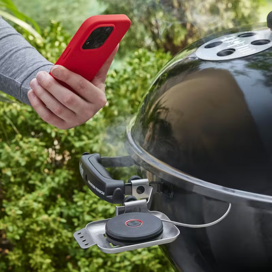 Weber - Sonde intelligente et capteur de grille