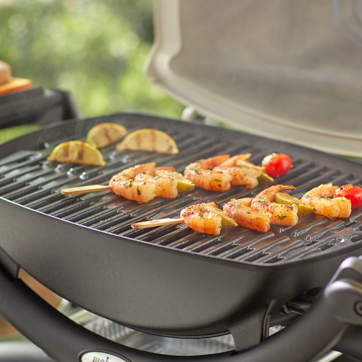Weber - Grilles de cuisson – Barbecues de série Weber Q 100/1000
