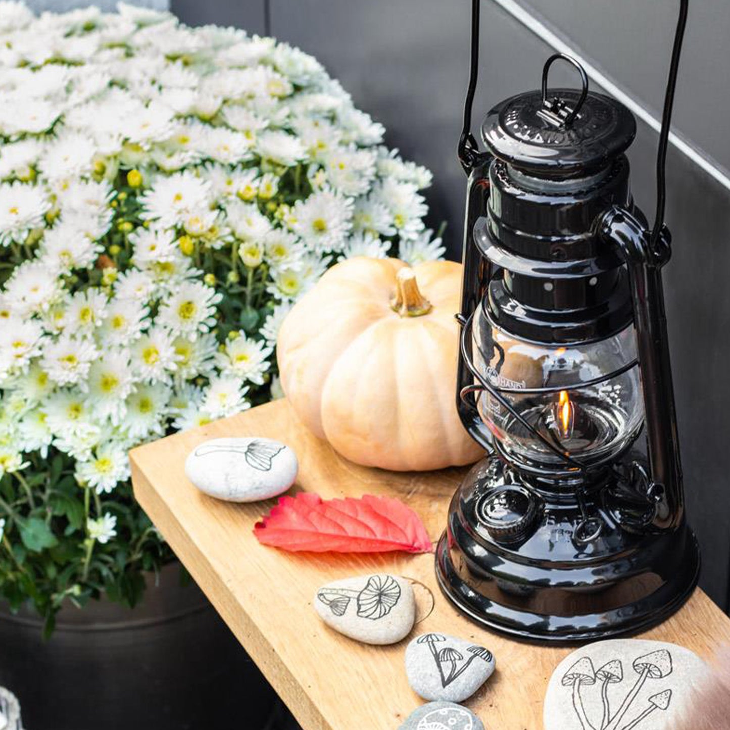 Petromax - Lampe à l'huile Feuerhand - Noir Foncé