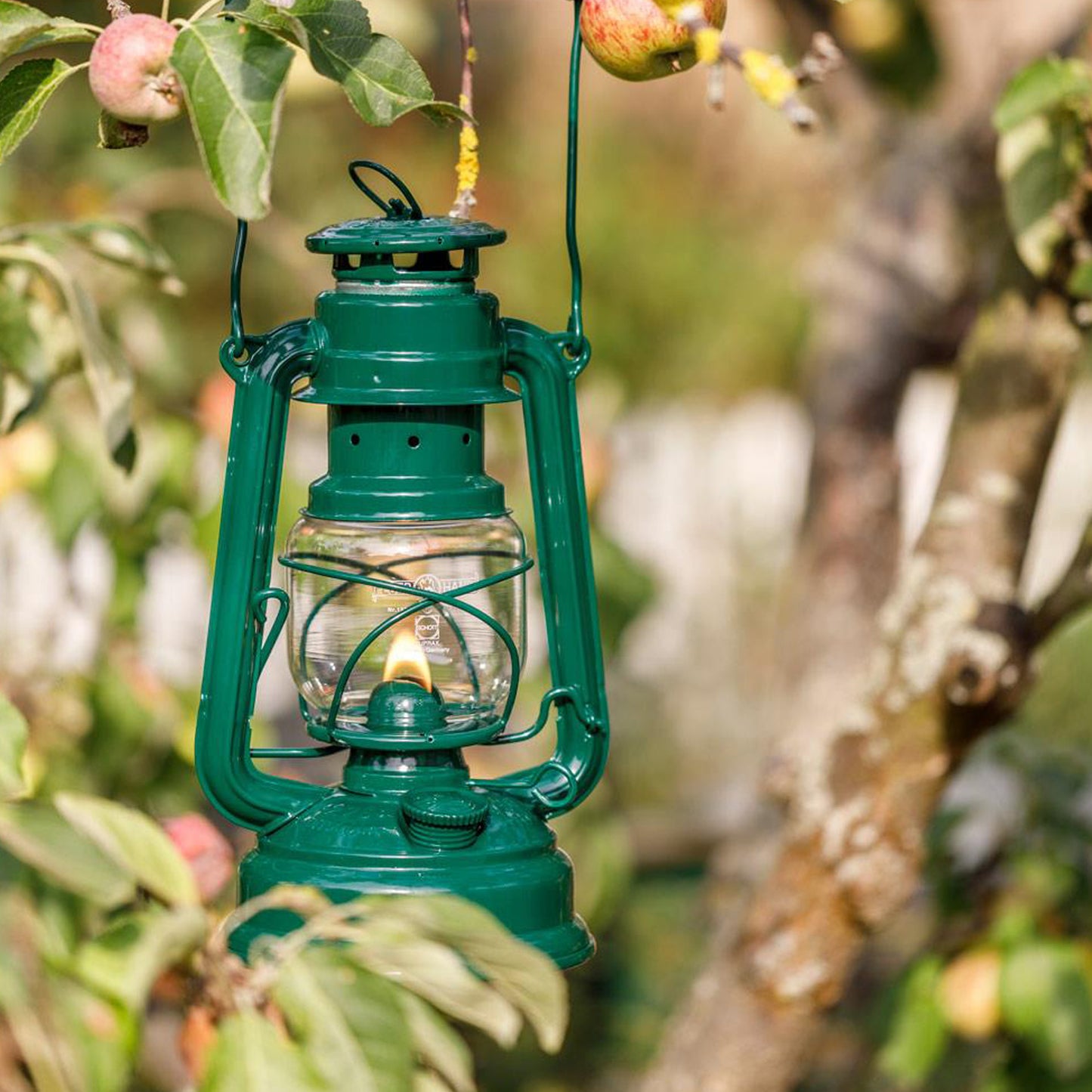 Petromax - Lampe à l'huile Feuerhand - Vert mousse