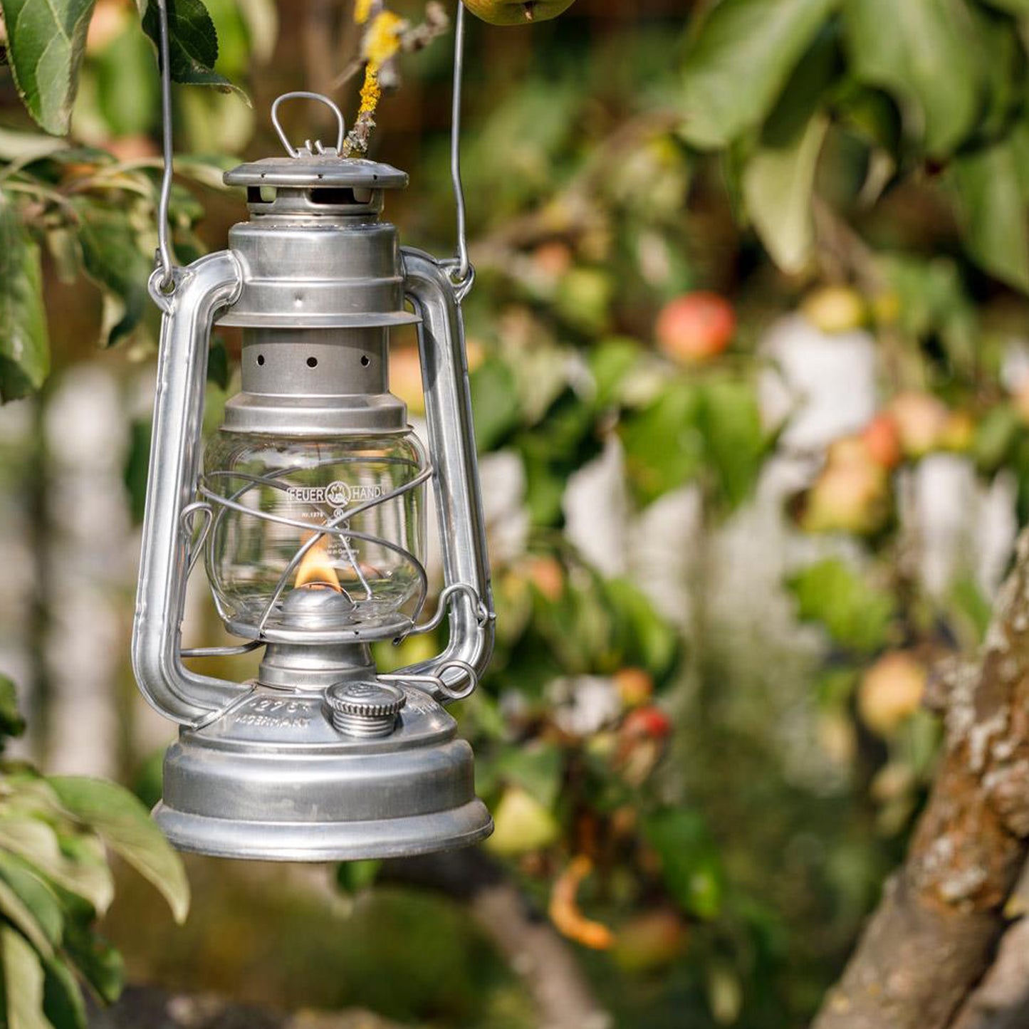 Petromax - Lampe à l'huile Feuerhand - Gris zinc