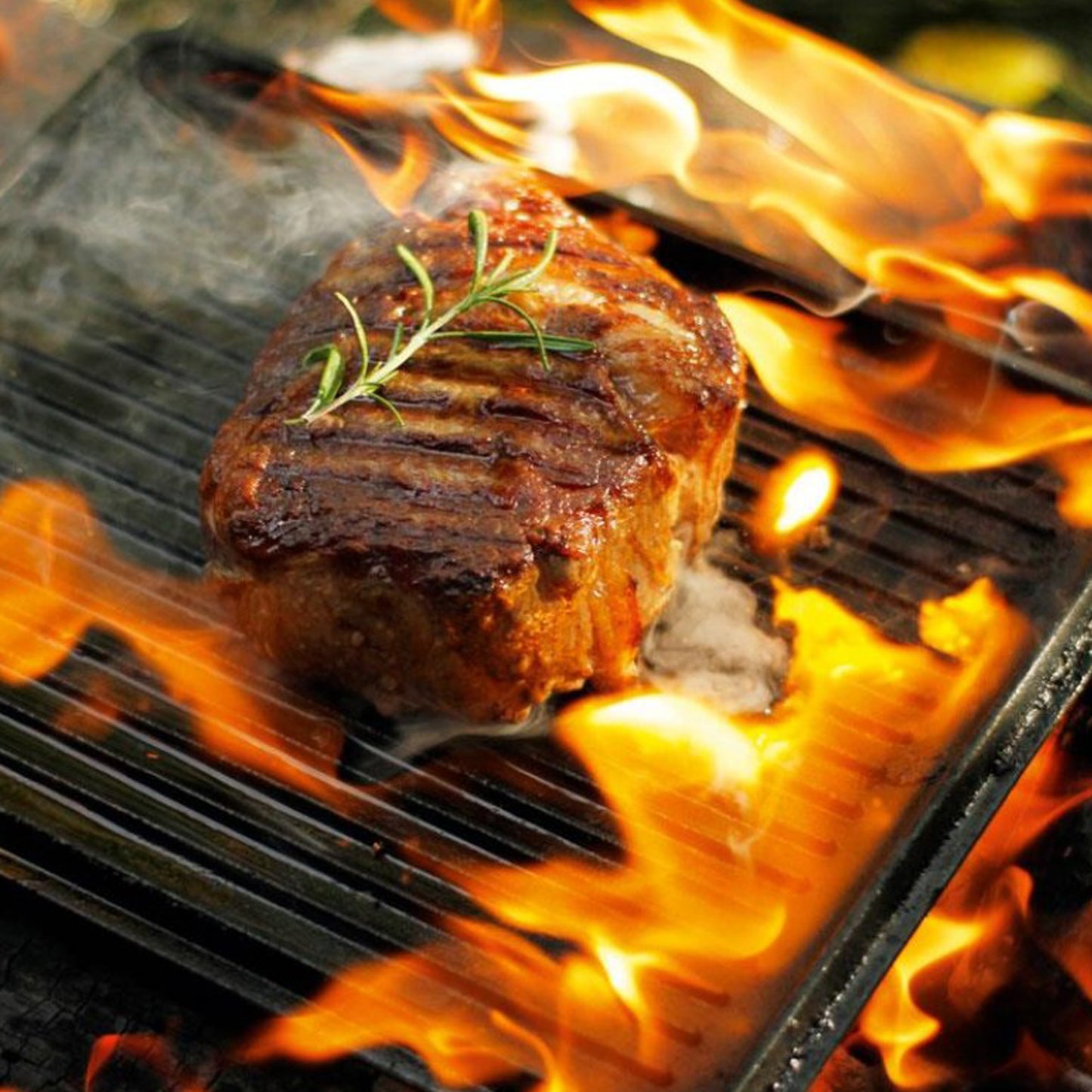 Petromax - Moule à gratin avec couvercle K8