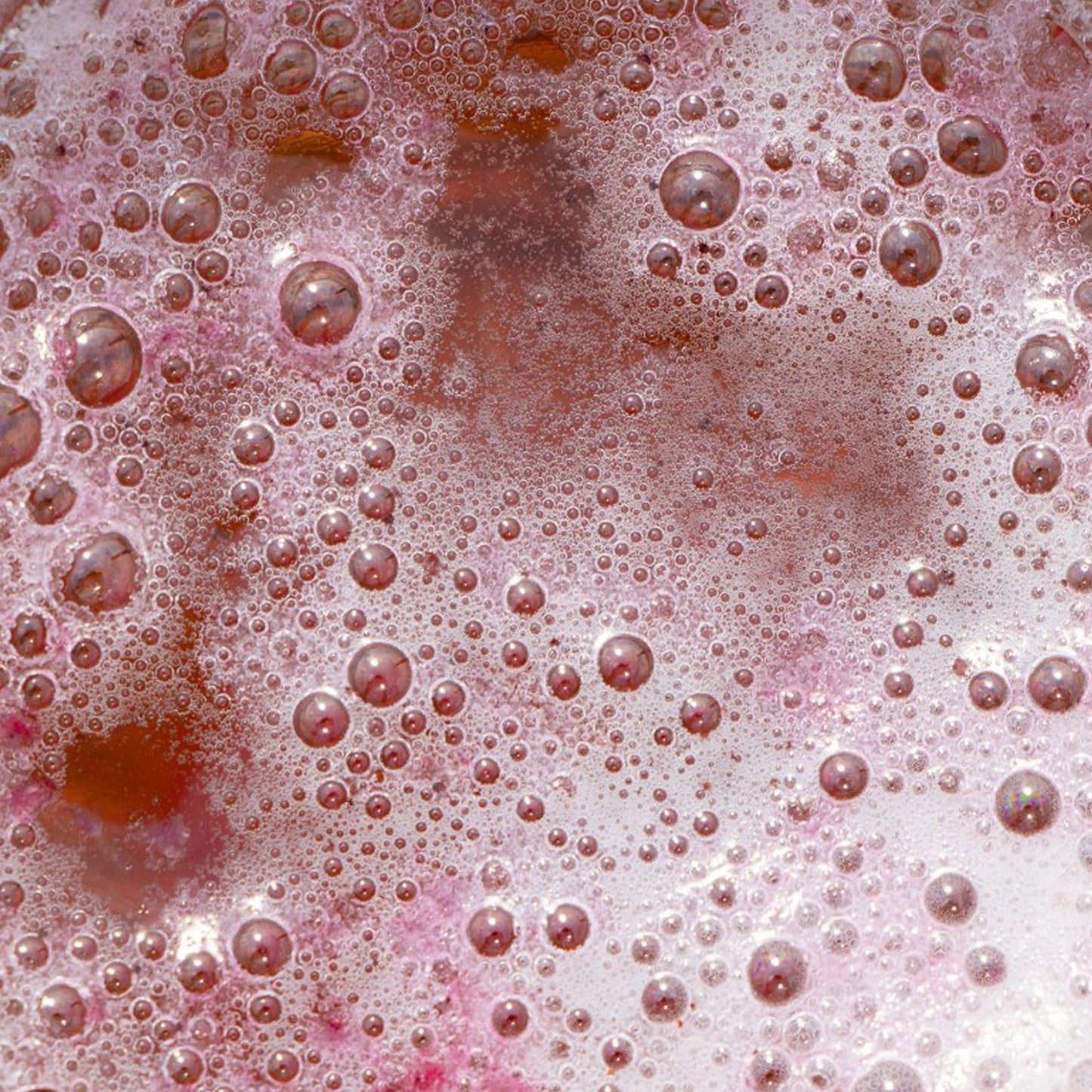 Épices du Guerrier - Assaisonnement à bière du Guerrier - Lime et Sumac