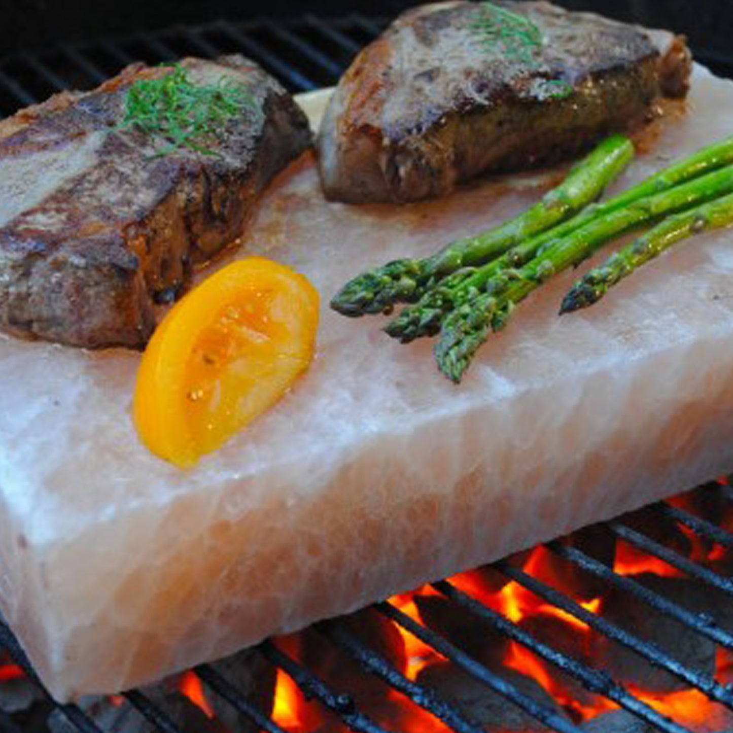 Vital - Brique de cuisson Sel de l'Himalaya (6po X 4po X 2po)