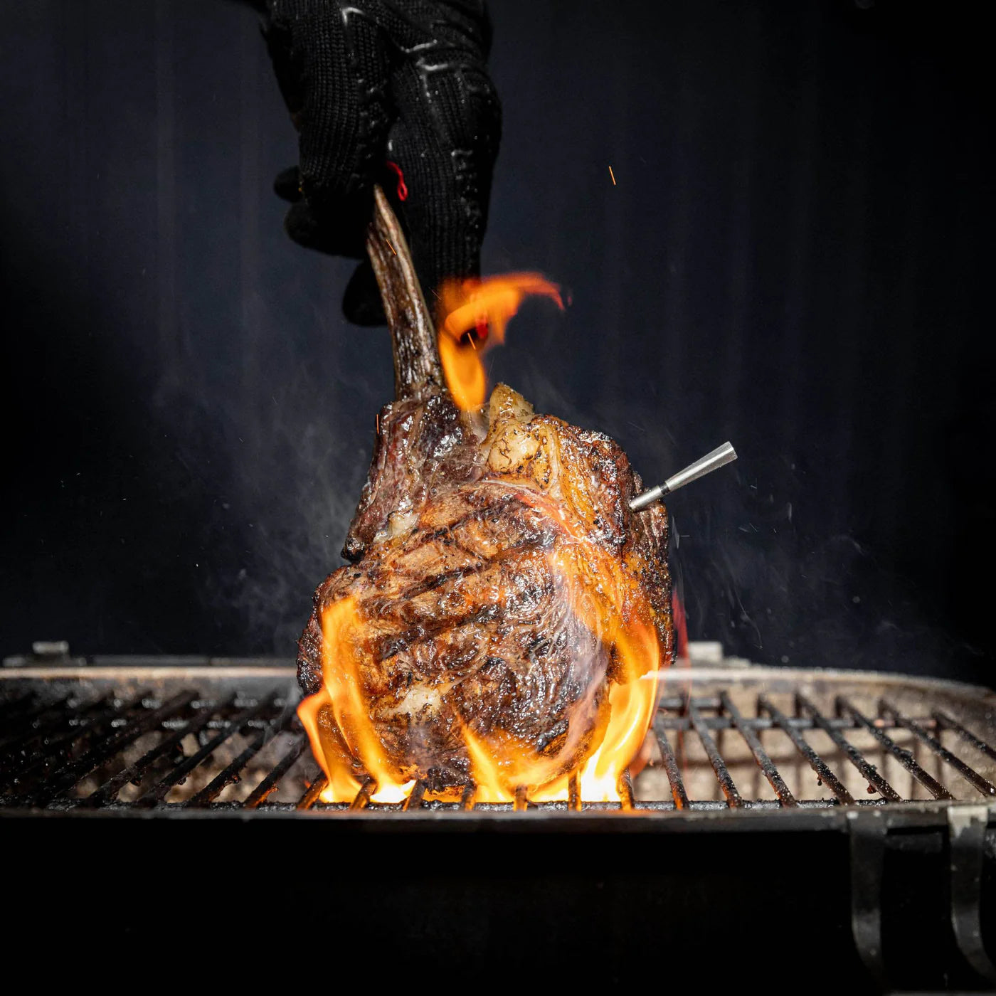 Traeger - Thermomètre à viande sans fil Meater Pro