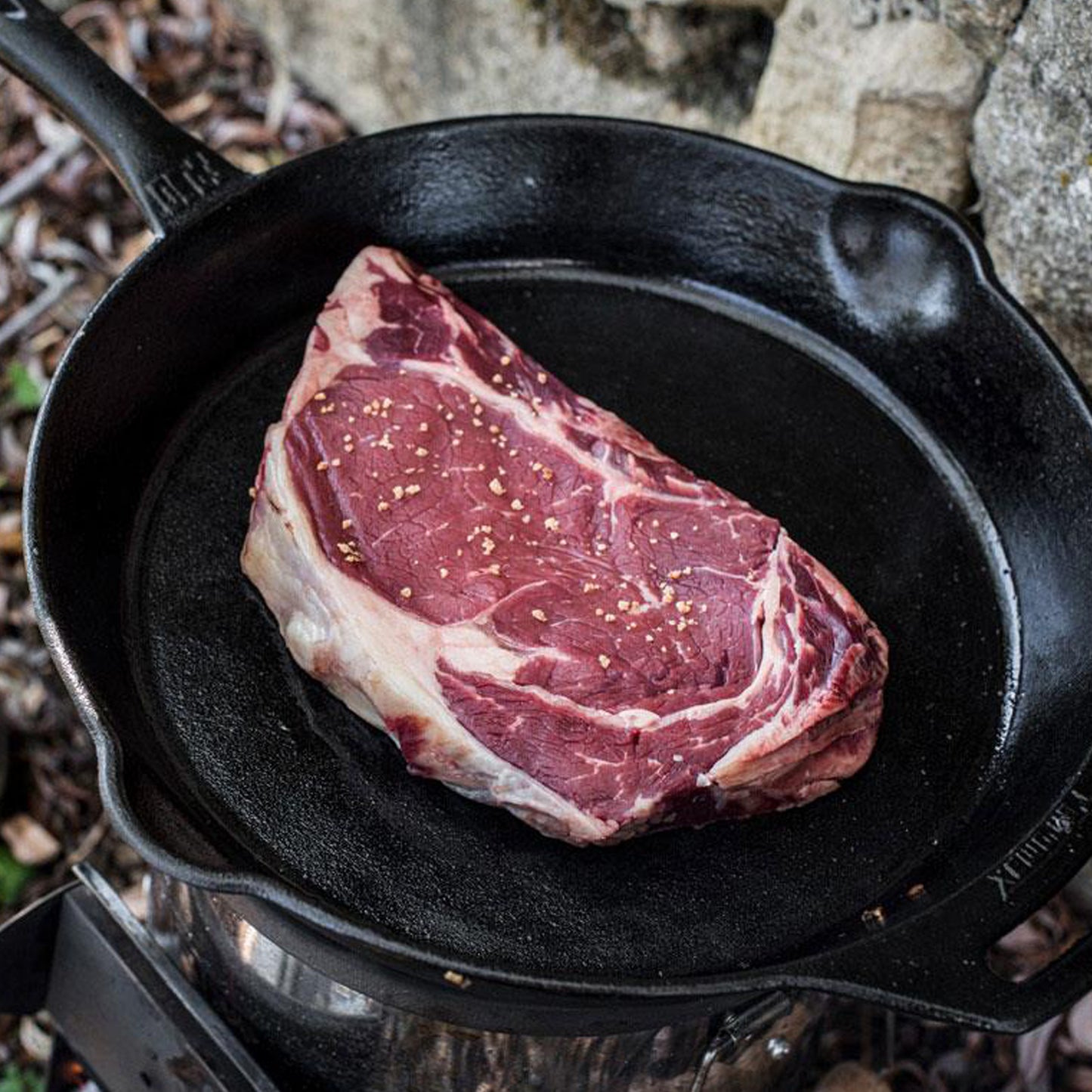 Petromax - Poêle de fonte fp30 avec un manche