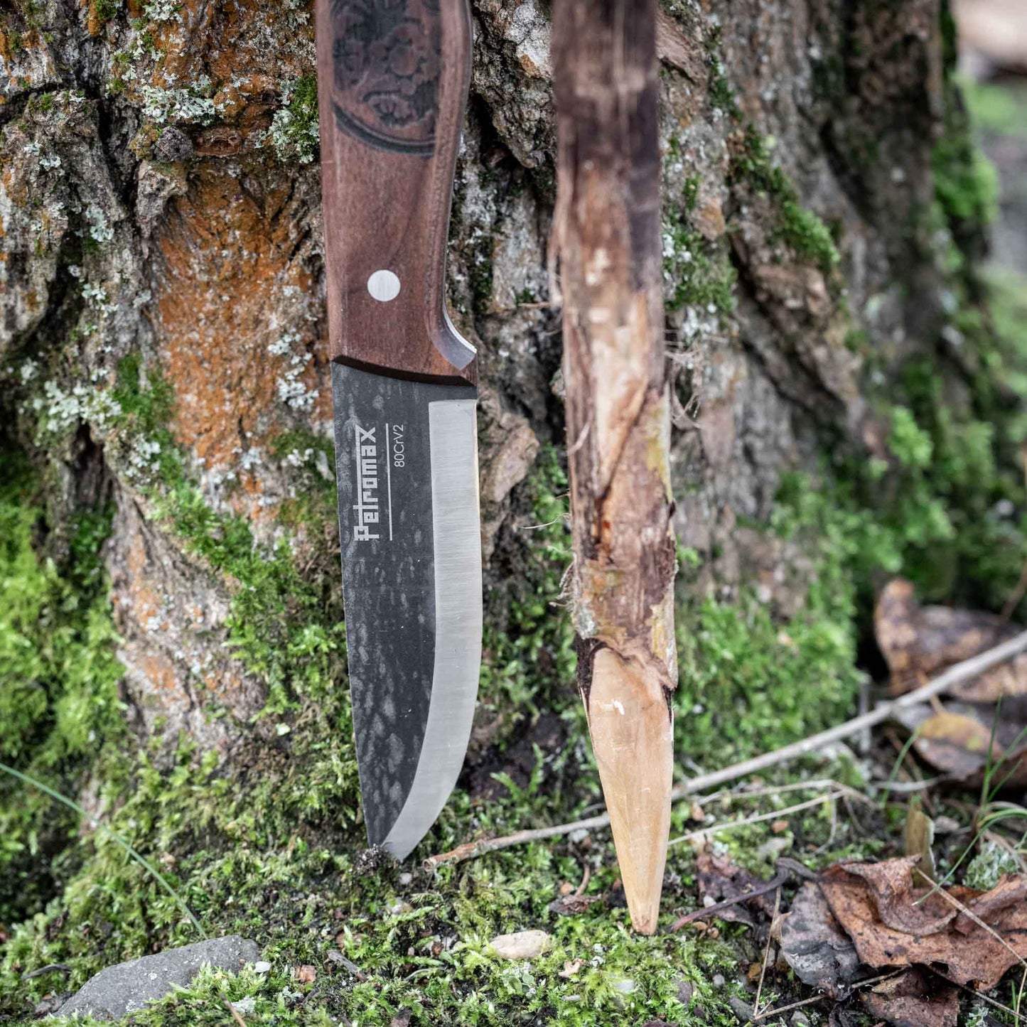 Petromax - Couteau bushcraft 10 cm avec étui