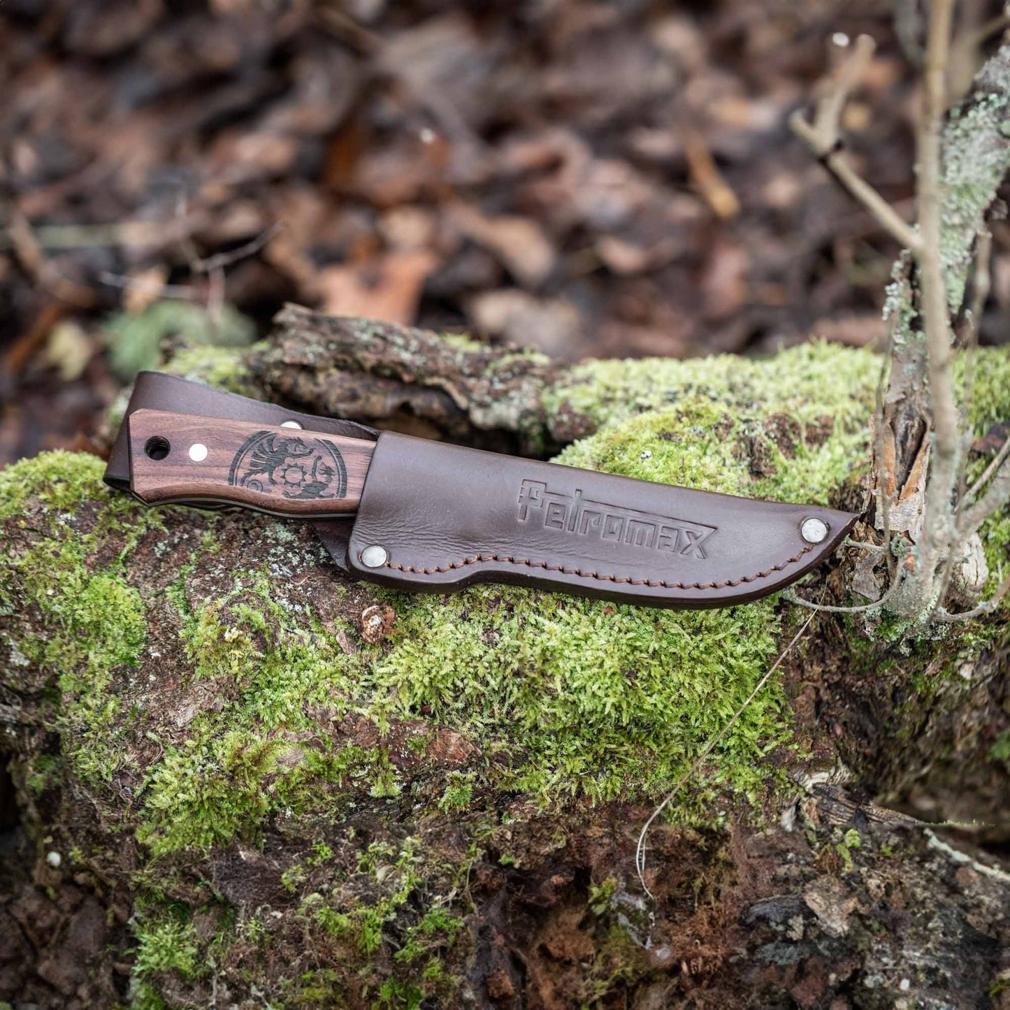 Petromax - Couteau bushcraft 10 cm avec étui
