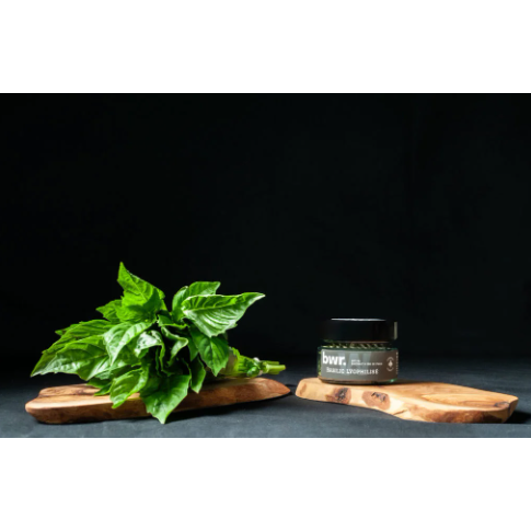BWR - Basilic lyophisée petit