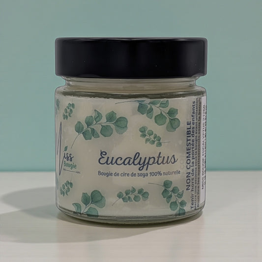 Miss Bougie - Bougie Eucalyptus