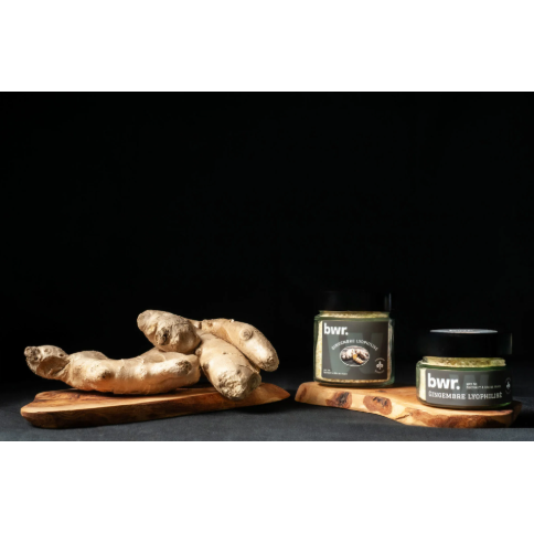 BWR - Gingembre lyophilisé 5g