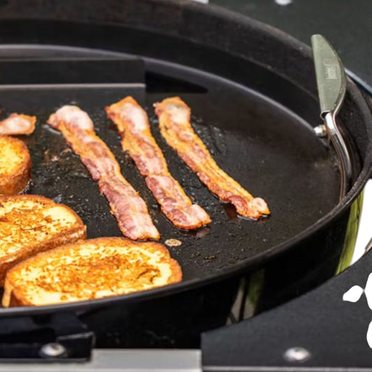 Weber - Plancha ronde antirouille encastrable de 22 po