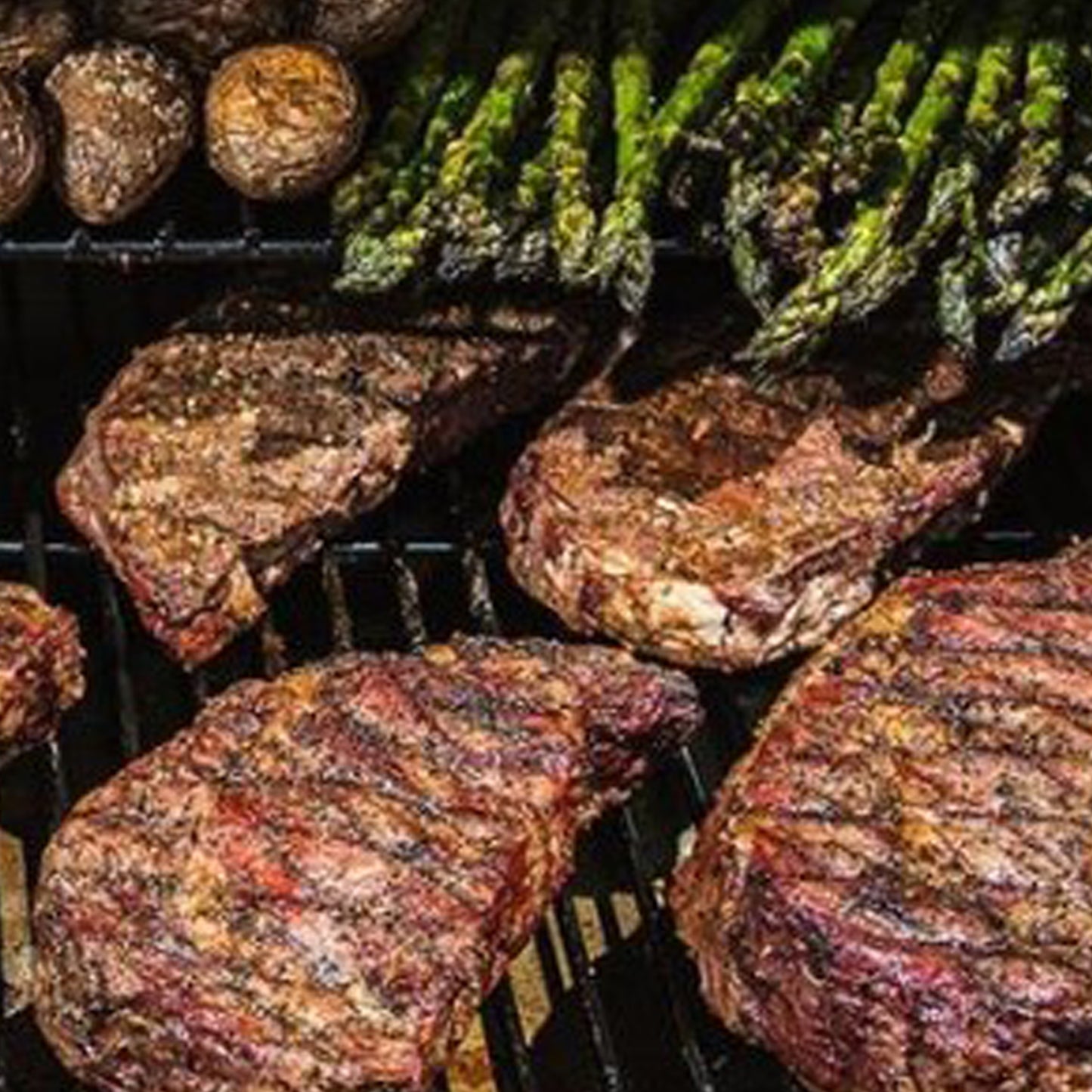 Traeger - Grille supplémentaire - Texas/Série 34