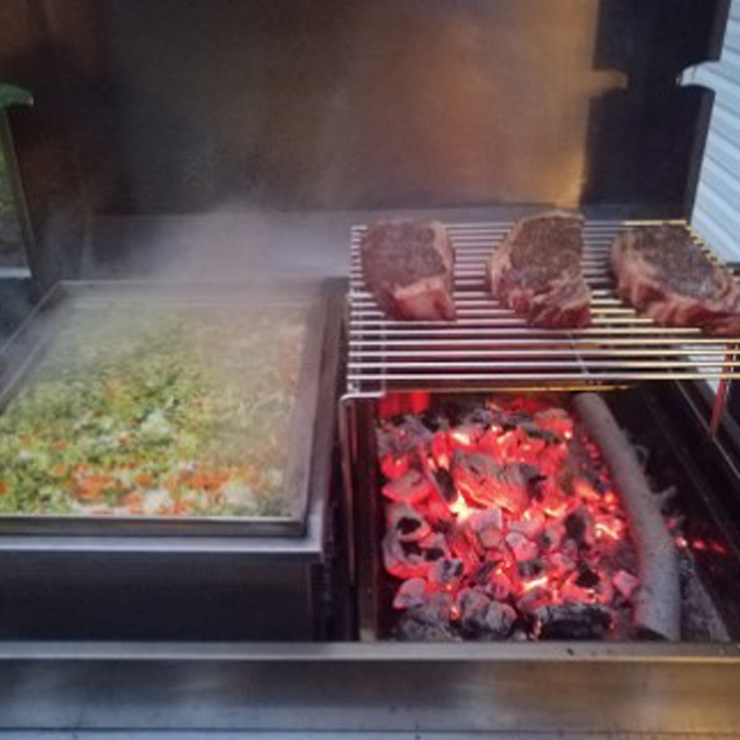 Neso Grill - Barbecue au propane - Modèle Résidentiel