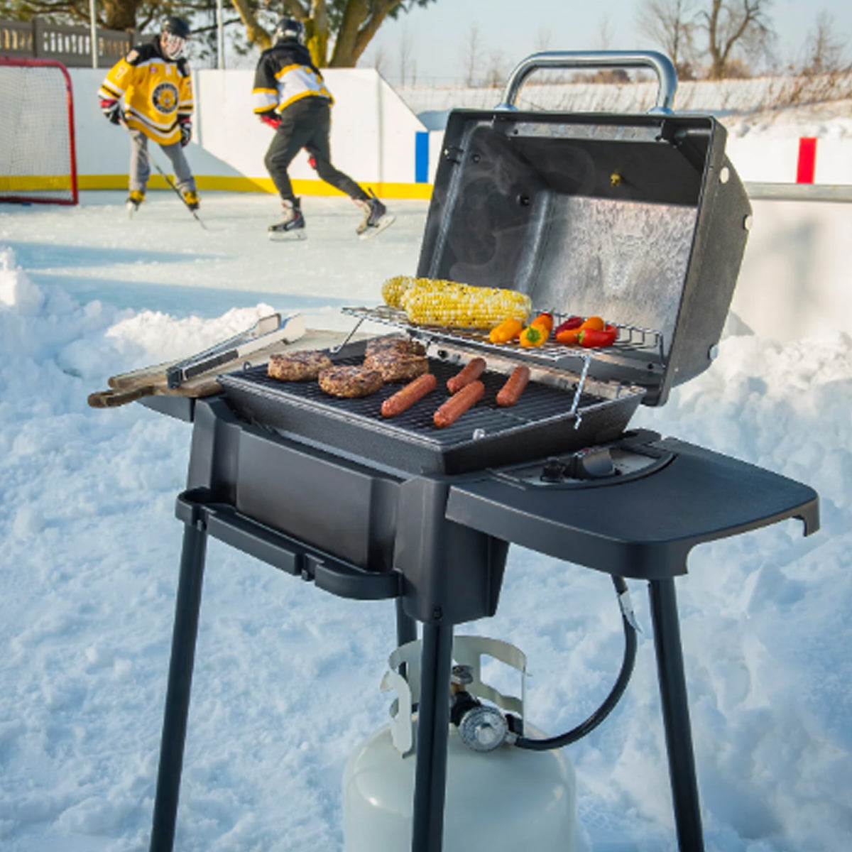 Barbecues Portatifs