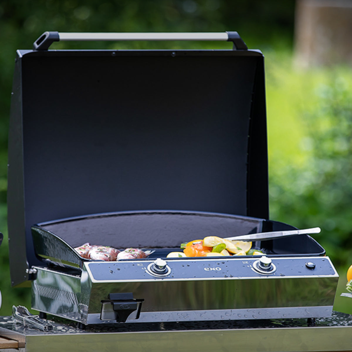 Barbecues / Plancha