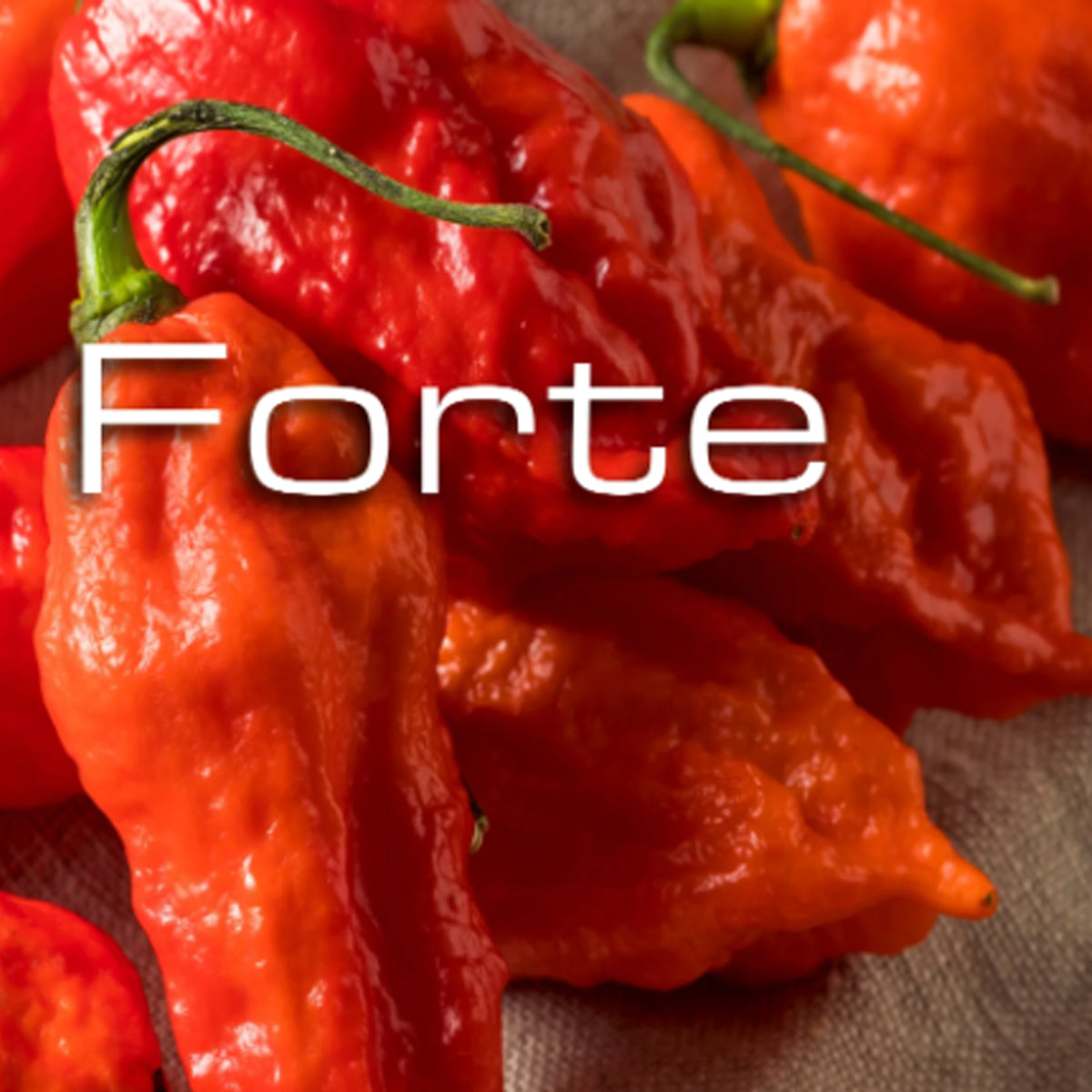 Sauces fortes