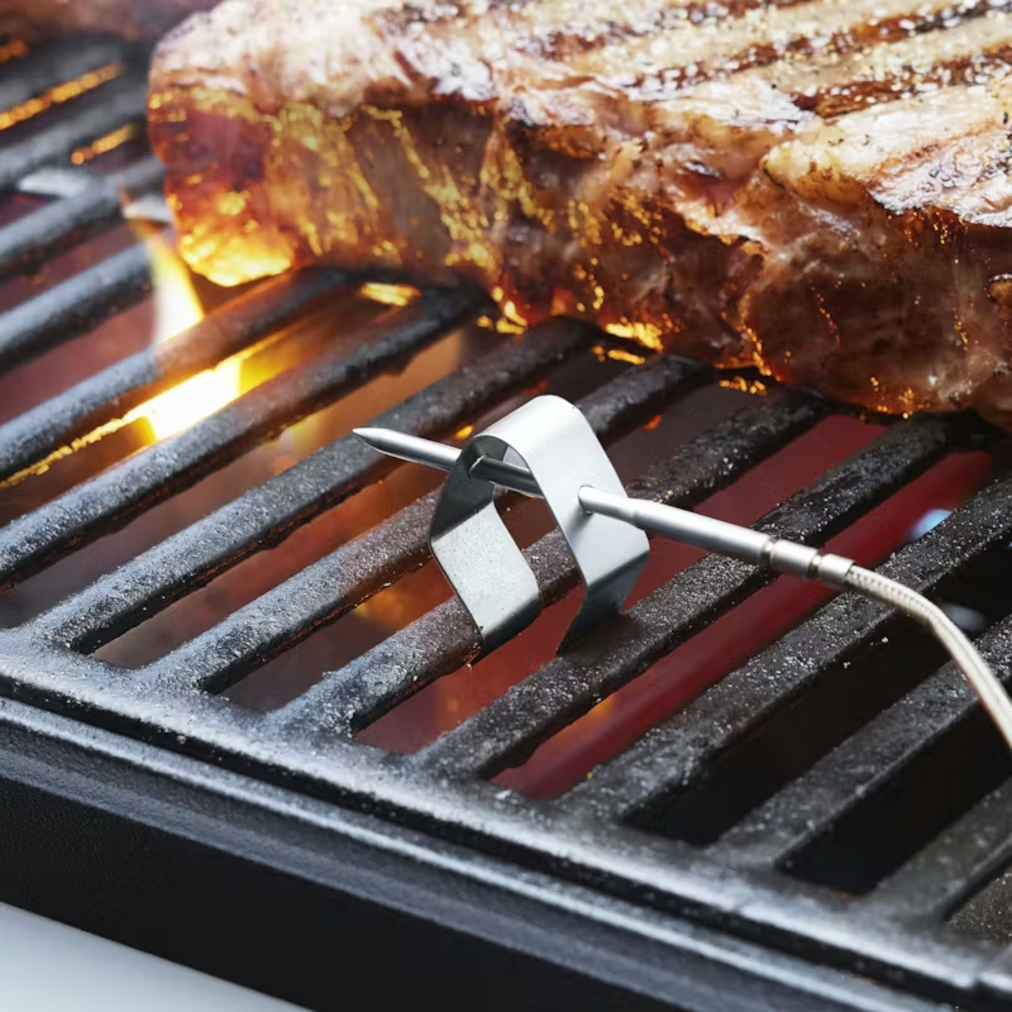 Weber - Sonde intelligente et capteur de grille