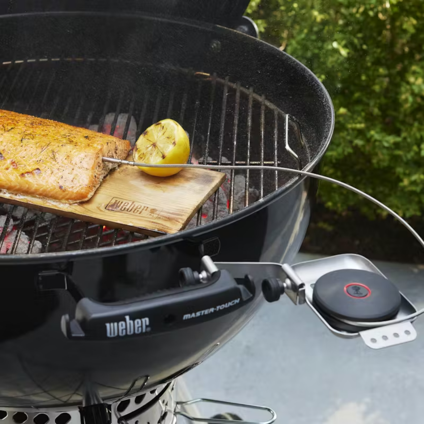 Weber - Sonde intelligente et capteur de grille