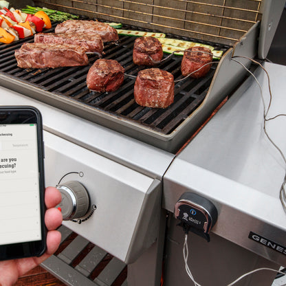 Weber - Thermomètre iGrill 3