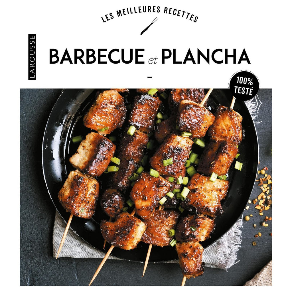 Barbecue et plancha