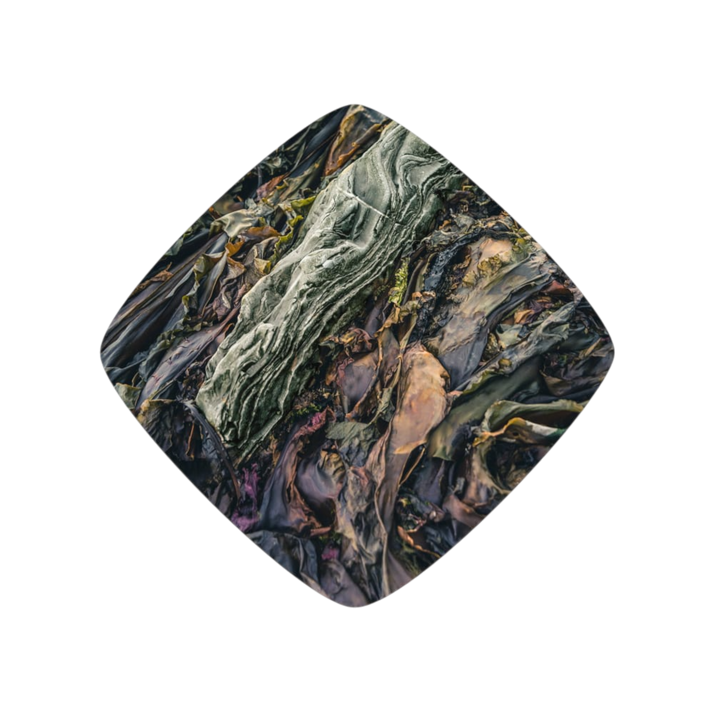 La Pincée - de L’Anse (Édition limitée)
