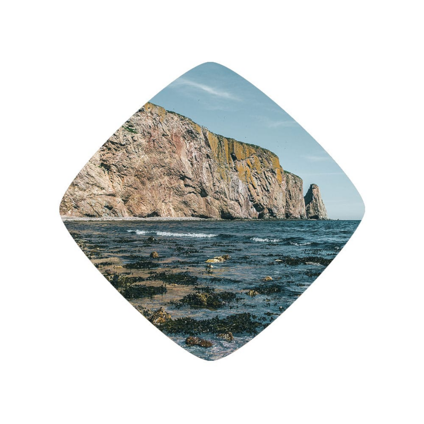 La Pincée - de L’Anse (Édition limitée)