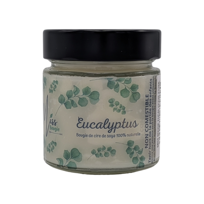 Miss Bougie - Bougie Eucalyptus