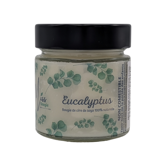 Miss Bougie - Bougie Eucalyptus