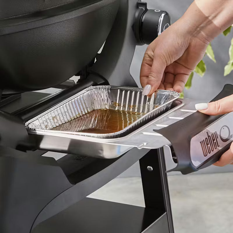 Weber - Barbecue portatif Q1200N Anthracite