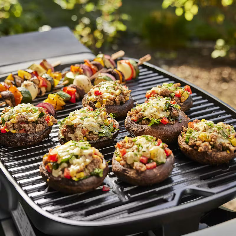 Weber - Barbecue portatif Q1200N Anthracite