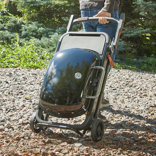 Weber -  Barbecue portatif Traveler