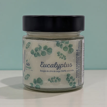 Miss Bougie - Bougie Eucalyptus