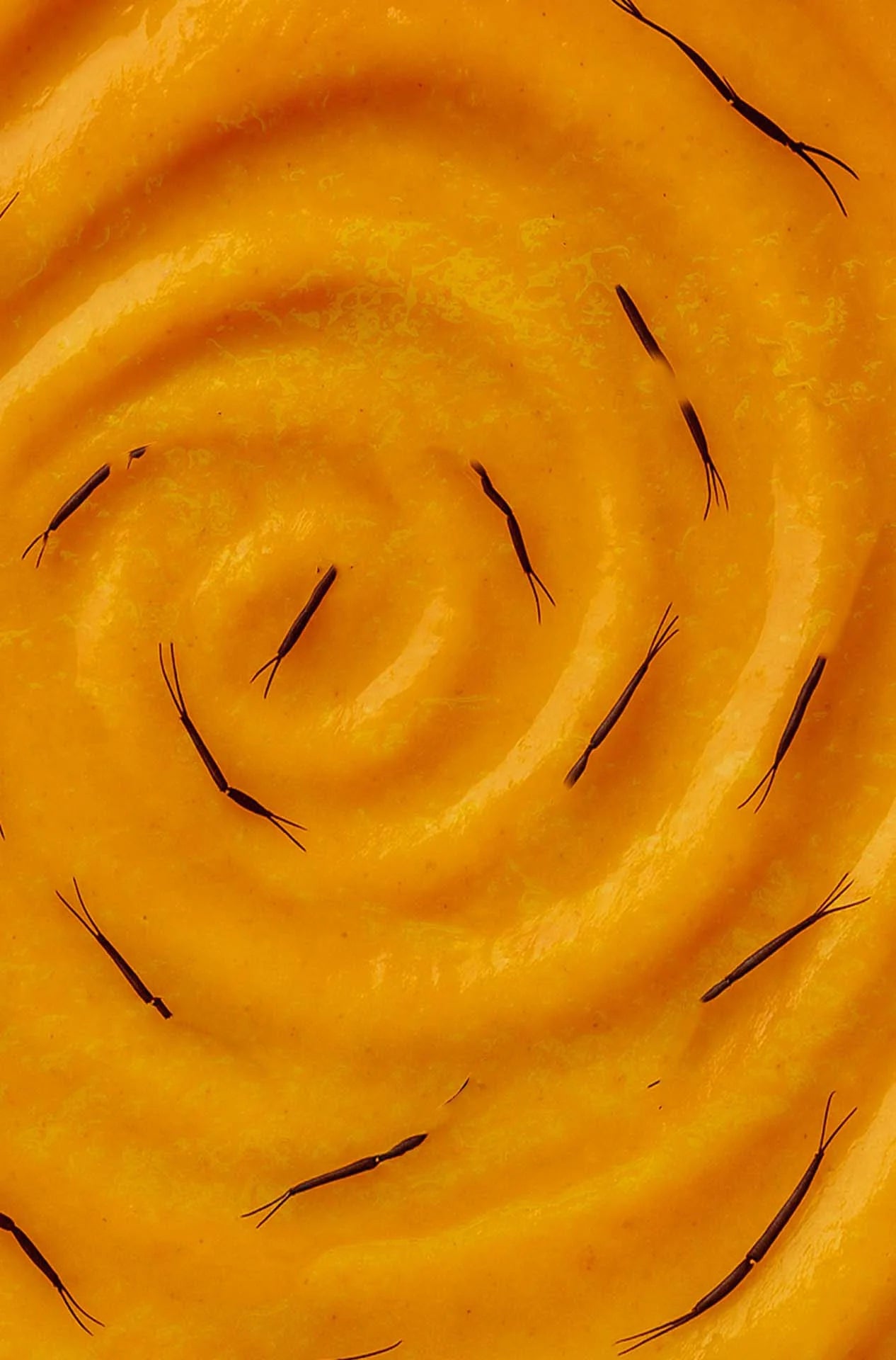 La Pimenterie - Sauce piquante Formica Fortis