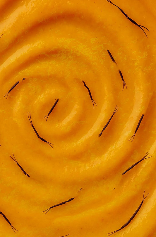 La Pimenterie - Sauce piquante Formica Fortis