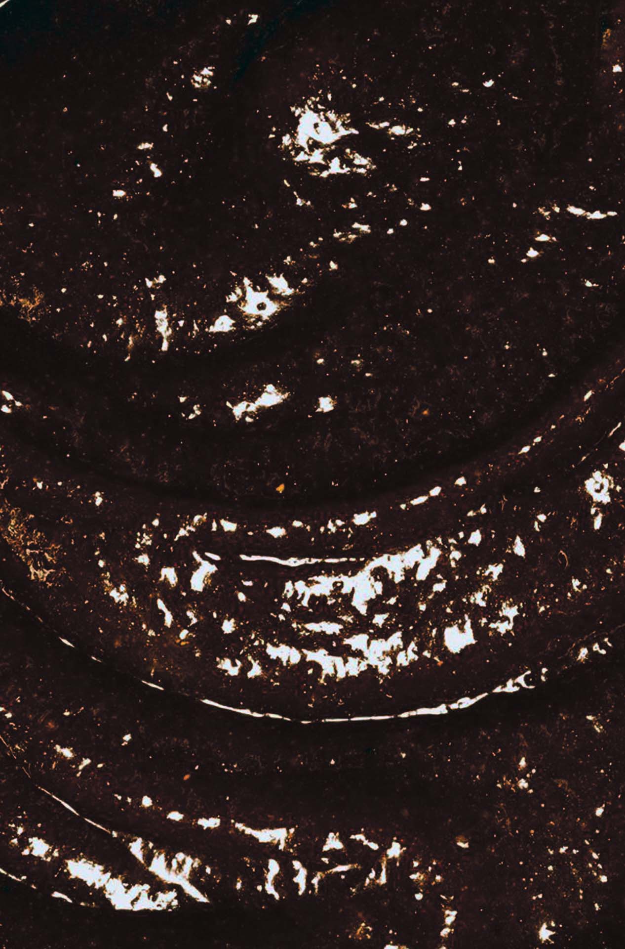 La Pimenterie - Sauce piquante - Fumisterie Extra-Forte