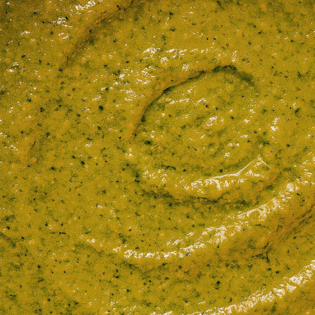 Salsa Verde 2026 – sauce verte aux tomatilles, lime, jalapeño et coriandre