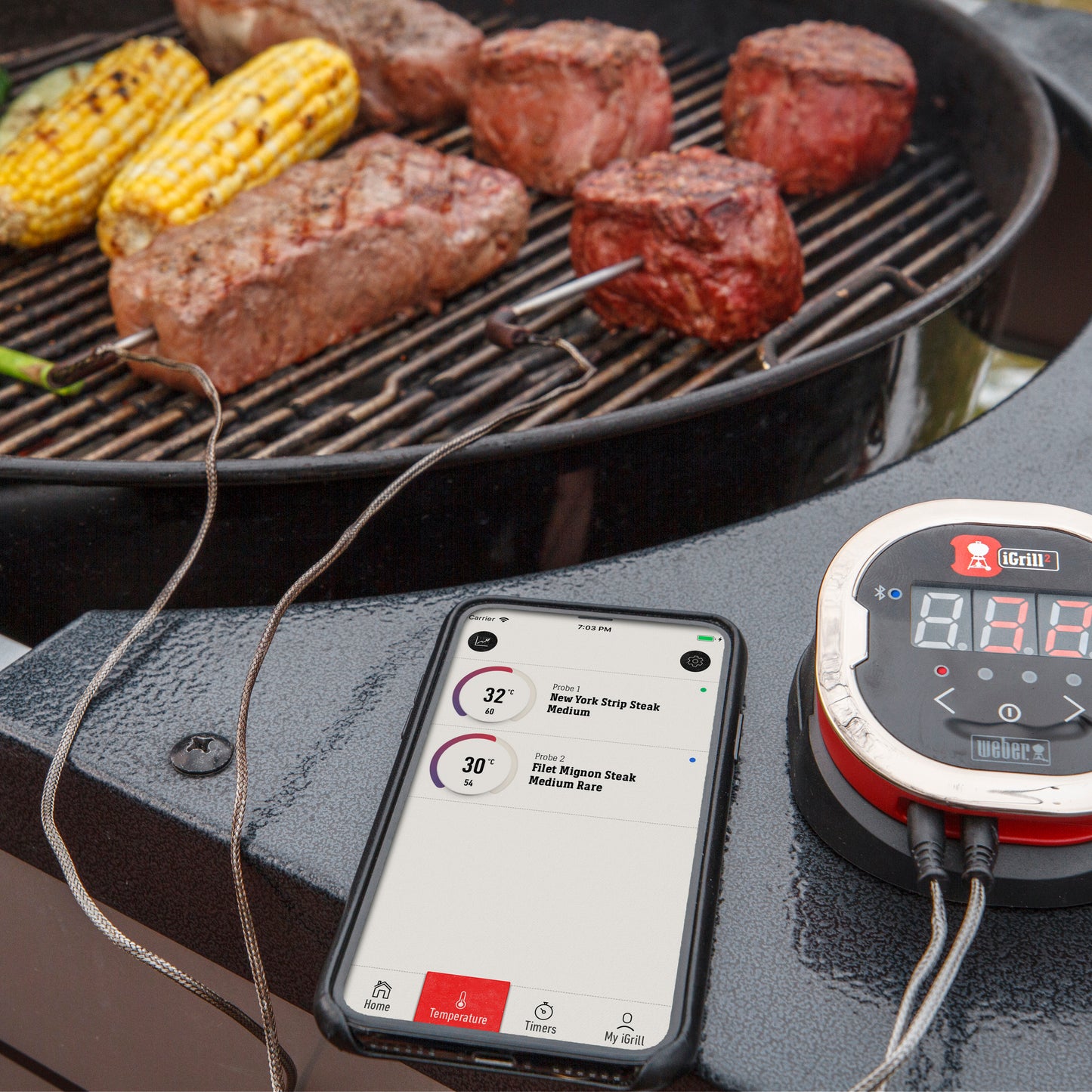 Weber - Thermomètre iGrill 2