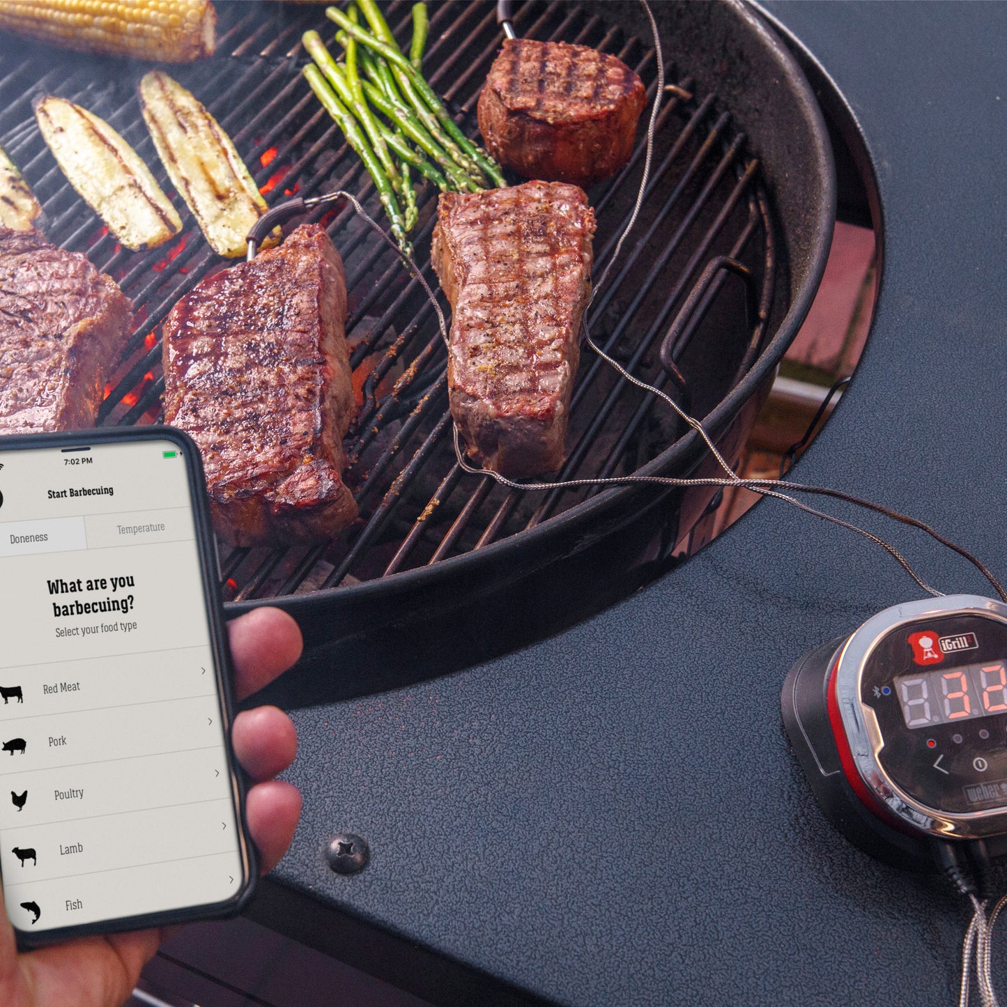 Weber - Thermomètre iGrill 2