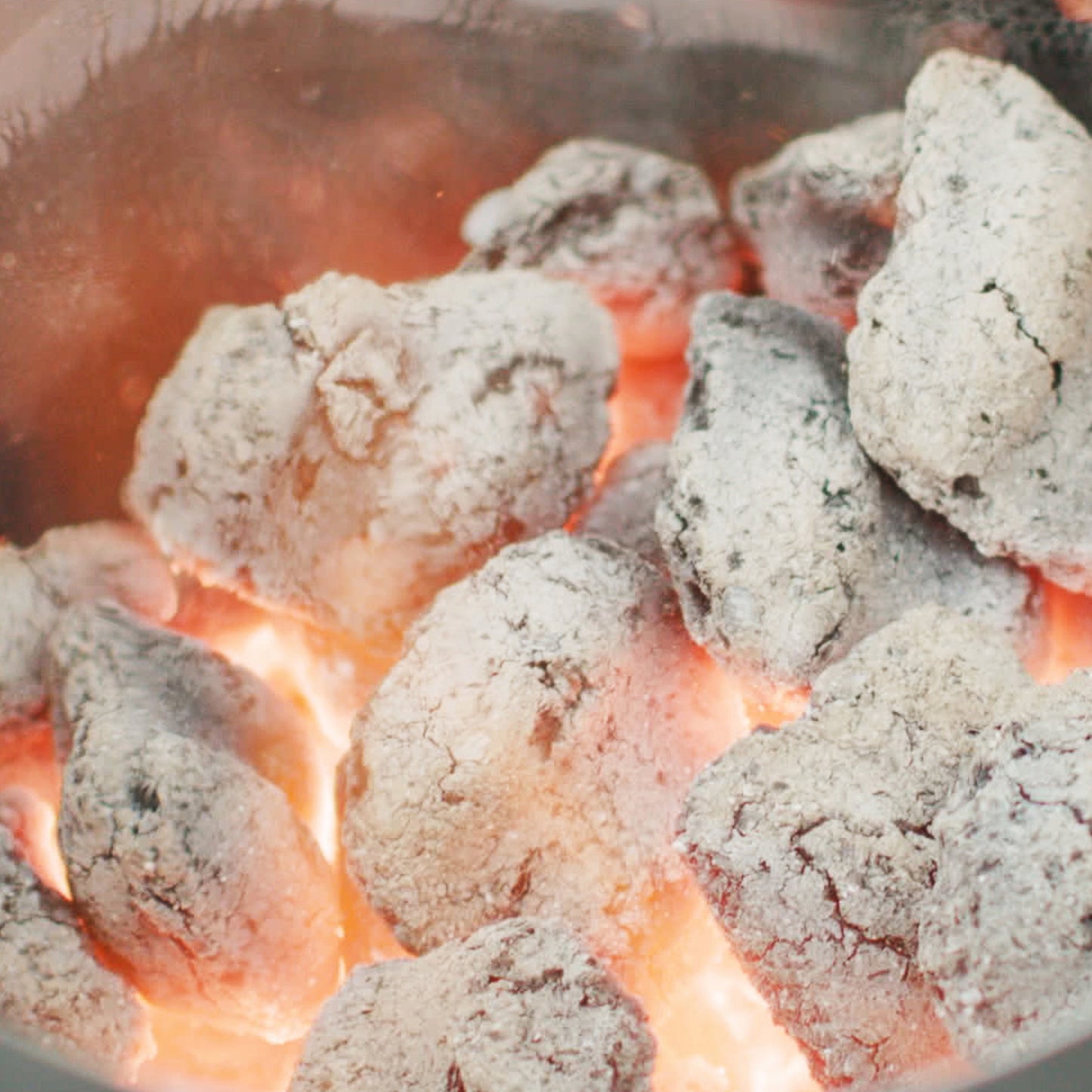 Weber - Briquettes de charbon de bois