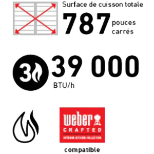 Weber - Barbecue au gaz propane - GENESIS SE-E-325s